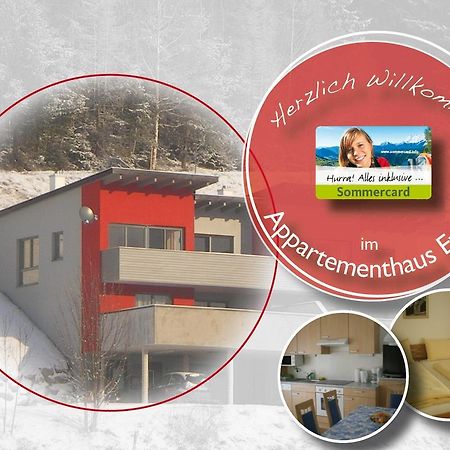 Appartementhaus Evelyn Schladming Dış mekan fotoğraf