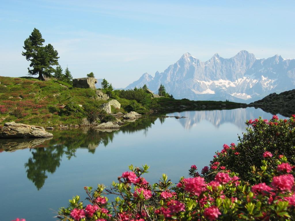 Appartementhaus Evelyn Schladming Dış mekan fotoğraf