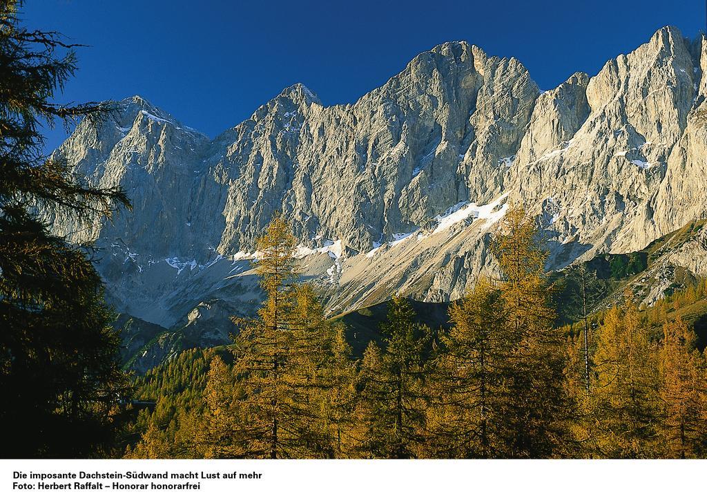 Appartementhaus Evelyn Schladming Dış mekan fotoğraf