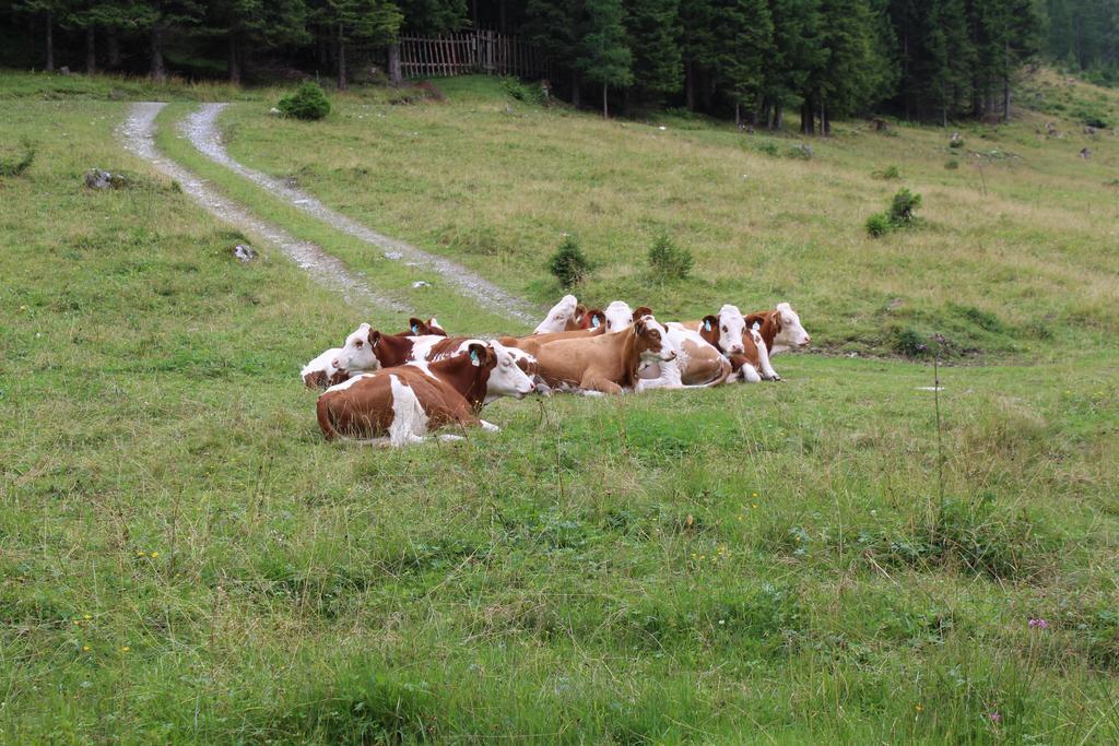 Appartementhaus Evelyn Schladming Dış mekan fotoğraf