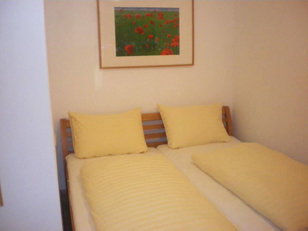 Appartementhaus Evelyn Schladming Dış mekan fotoğraf